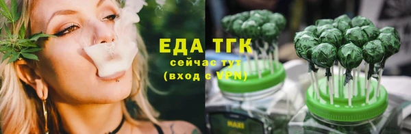 шишки Верея