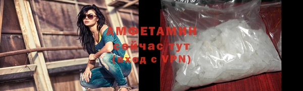шишки Верея