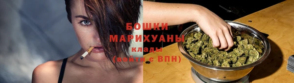 шишки Верея