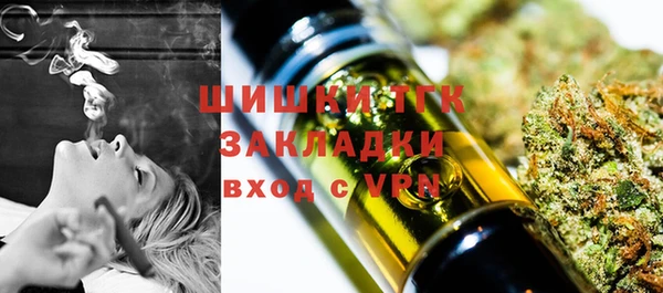 шишки Верея