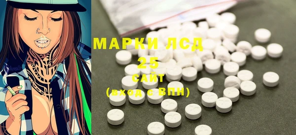 шишки Верея