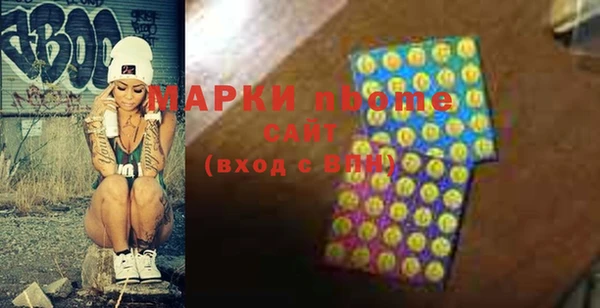шишки Верея