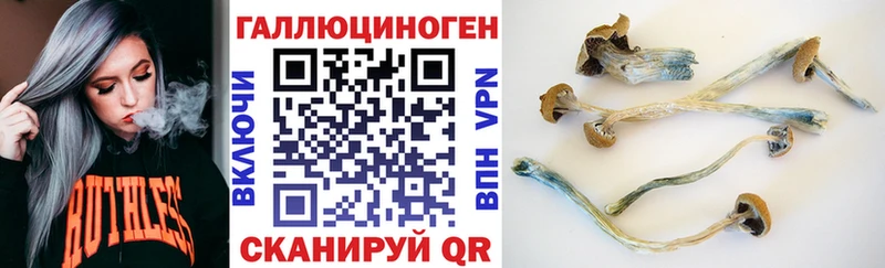 Псилоцибиновые грибы прущие грибы  Гаврилов Посад 